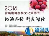 2018首届湖塘杨梅文化旅游节开幕