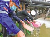 漓渚镇举行“世界水日”主题宣传活动