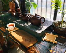 茶韵悠长：成都品茶工作室探店品味茶文化